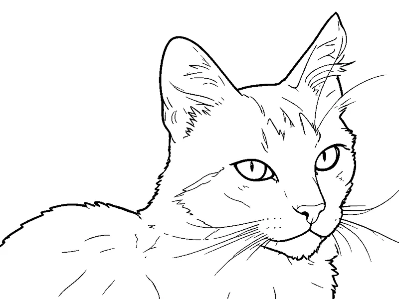 El mismo gato convertido en dibujo para colorear, en la página derecha