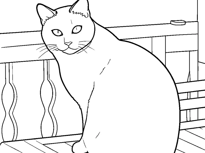 El mismo gato siamés y la terraza convertidos en un dibujo para colorear
